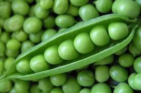 Green Pea