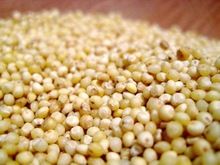 millet grain