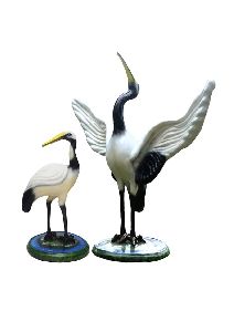 White Siberian Crane Bird Pair