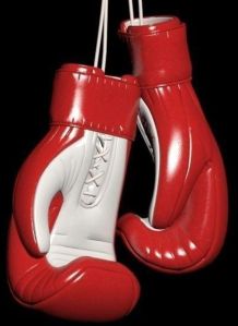 Lace Up Boxing Gloves