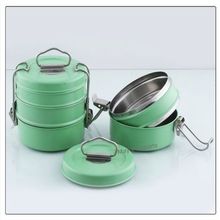 stainless steel colored tiffin lunch box