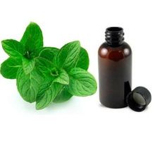 Mentha Oil