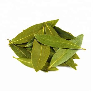 Dried Bay Leaves