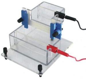 Vertical Electrophoresis System