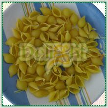 Shells Pasta