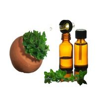 Pure Oregano Essential Oil