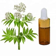 Valerian Root Extract Essential Oil