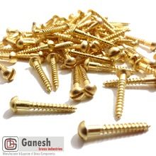 Brass Self Tapping Screw