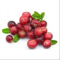 Craneberry Extract