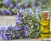 Rosemary Oil