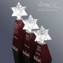 Resin Star Trophy