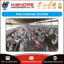 Poultry Automatic Feeding