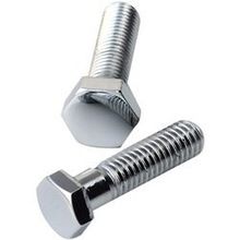 Stainless Steel Nuts