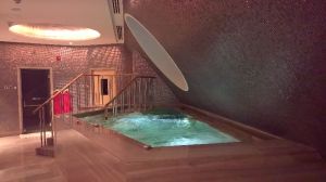 Vitality Pools/Plunge Pools