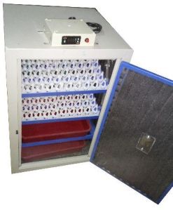 chicken Egg Incubators