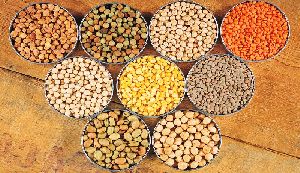 Indian Pulses