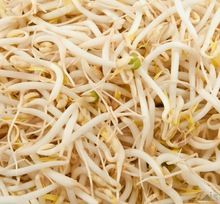 bean sprouts