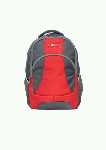 Red & Grey Laptop Backpack