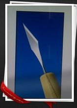 Lancetip 30 Degree Ophthalmic Micro Surgical Knives