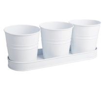 white planter pots