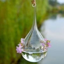 hanging terrariums