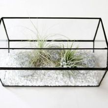 House shape terrarium