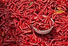 Red Chillies