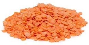 Red Lentils