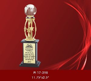 Wooden Base Plastic Acrylic Trophy