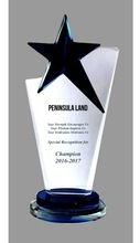 Engrave Customized Print Logo Trophy