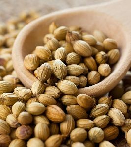 Coriander Seeds