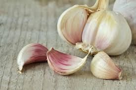 Fresh Garlic