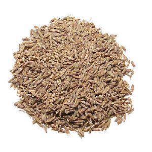 Cumin Seeds