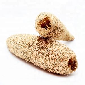 Long Raw Loofah