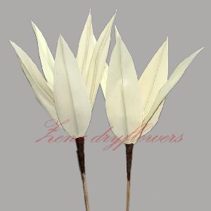 Palm Arrow Sticks