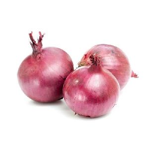 Pink Onion