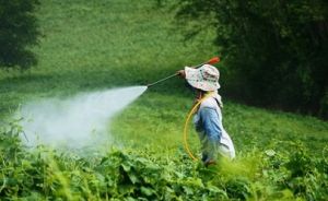 agricultural pesticides