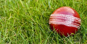 Cricket Leather Ball