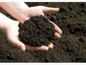 GIR COW DUNG COMPOST