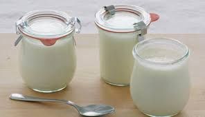 Goat Milk Yogurt