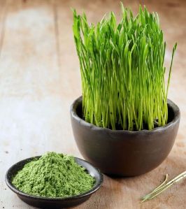 Wheatgrass & Nutri Root Powder