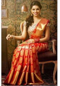 Traditional Embroidered Sarees