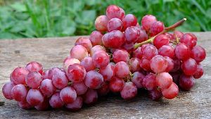 Fresh Grapes