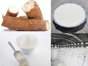 Edible Tapioca starch