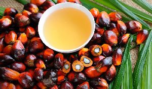 Refined Palm Oil