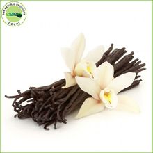 vanilla essential oil