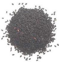 Basil Seed