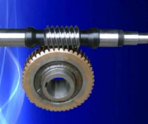 Worm Gear