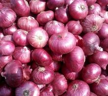 Red Onion