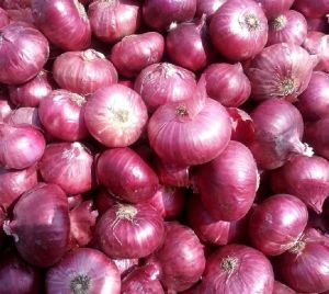 red onions